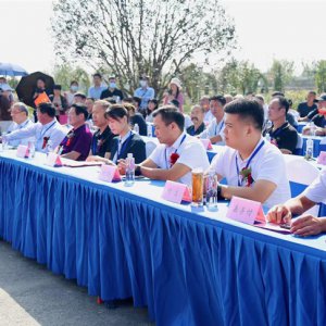 阜陽(yáng)市第三屆精品盆景展開(kāi)幕