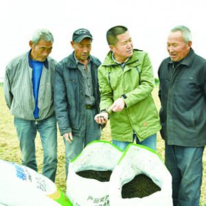 一?！胺N子”的情懷