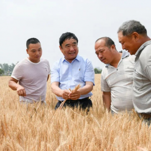 技能大賽！全國第一！來自阜陽！