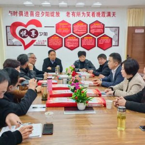 鹿城鎮(zhèn)老年協(xié)會(huì)學(xué)習(xí)宣傳貫徹黨的二十大精神，結(jié)合實(shí)際做好自身工作討論會(huì)召開(kāi)