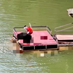 馬上評｜蹦極不是玩命，景區(qū)安全之繩絲毫松不得