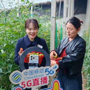 安徽移動潁上縣分公司：5G直播進(jìn)大棚 消費(fèi)幫扶暖民心