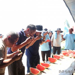 比技術(shù) 贏贊助 安徽太和這場活動火了